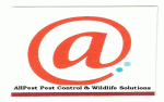 AllPest & Wildlife Removal